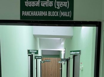 panchakarma new